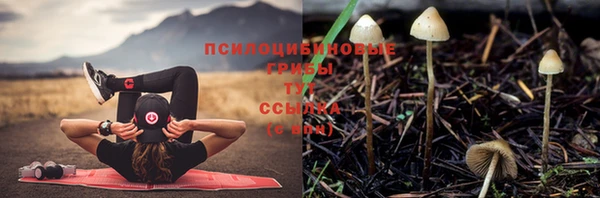 прущая мука Алексин