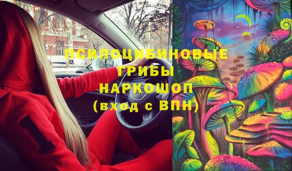PSILOCYBIN Приозерск