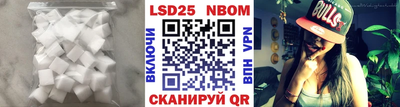 kraken онион  Нефтекумск  LSD-25 экстази кислота 