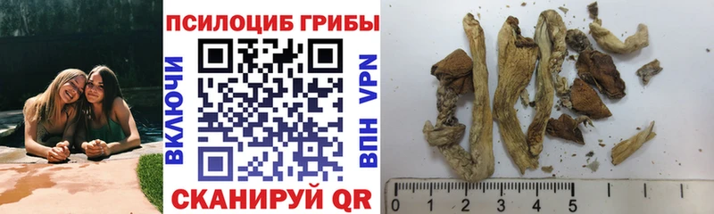 Галлюциногенные грибы MAGIC MUSHROOMS Нефтекумск