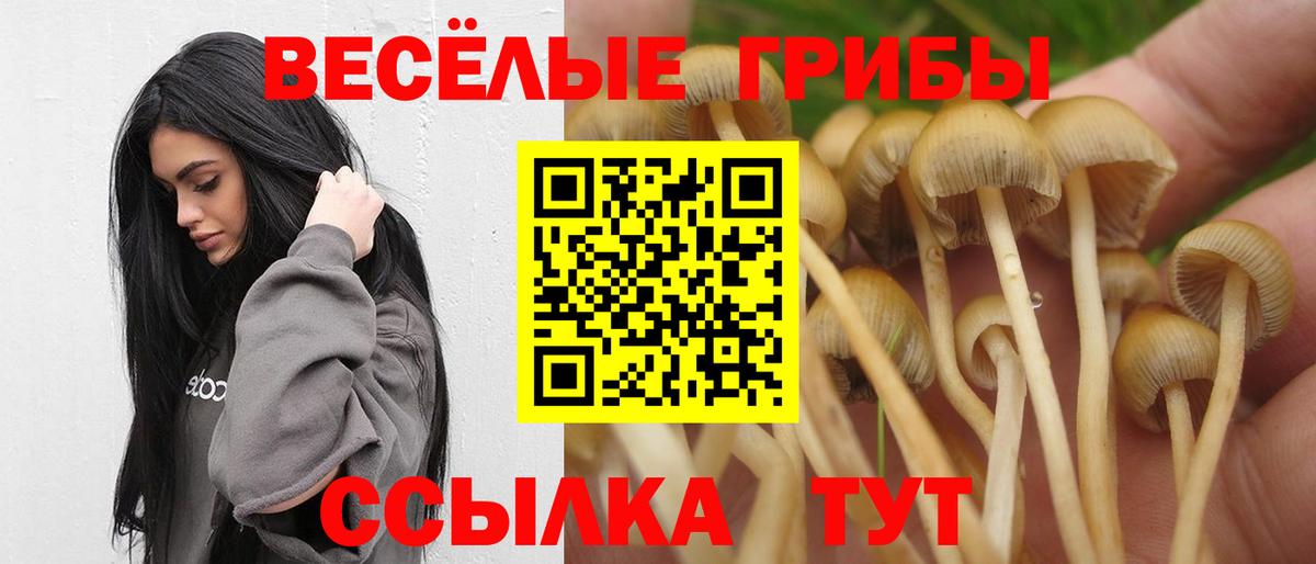 Галлюциногенные грибы Cubensis  Псилоцибиновые грибы Psilocybine cubensis  Нефтекумск  Вход с VPN 